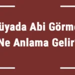 rüyada abi görmek